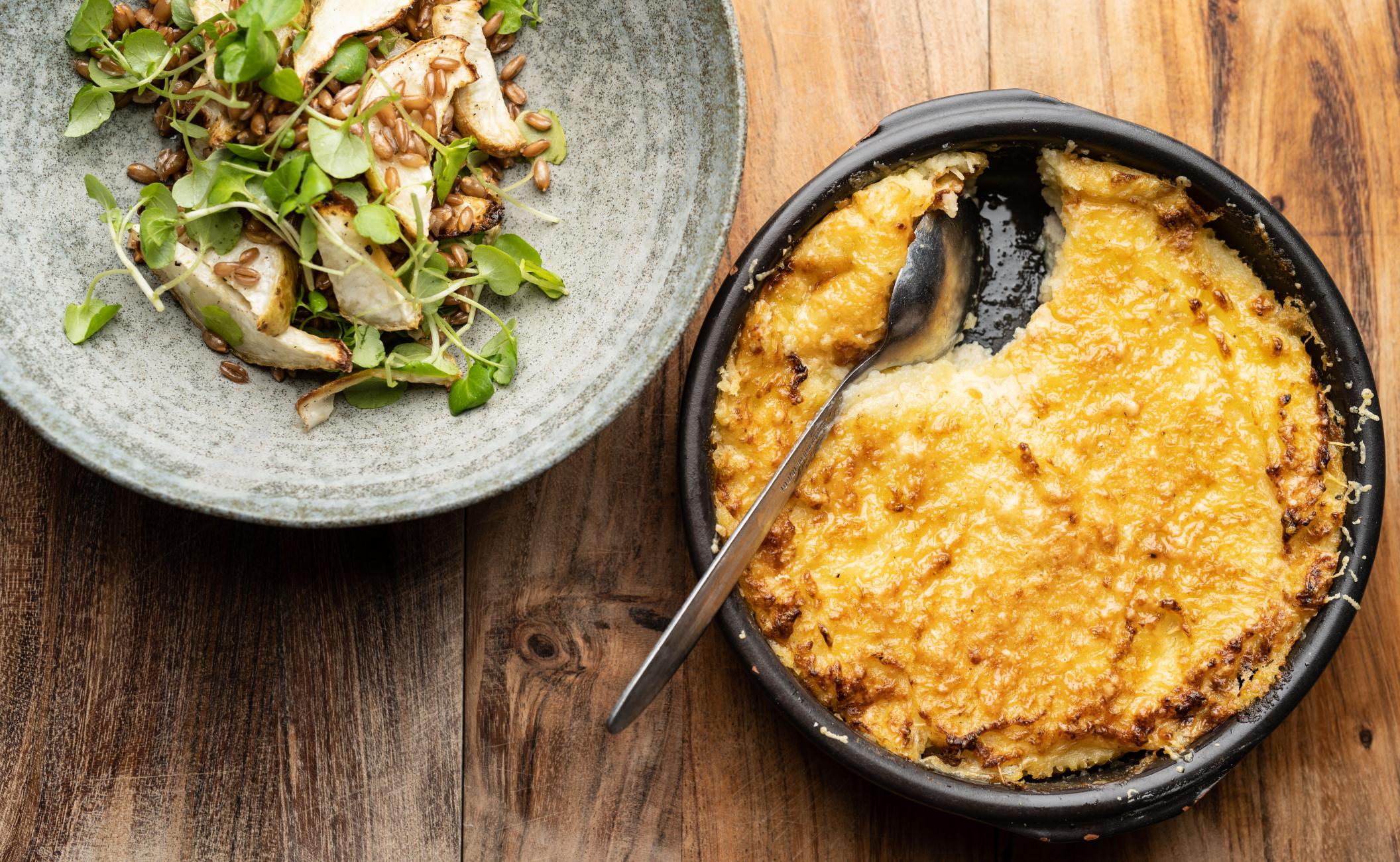 Gratin med mørksej, rodfrugter og vesterhavsost med salat af selleri og brøndkarse