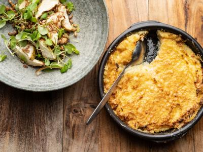 Gratin af mørksej med rodfrugter og vesterhavsost med salat af selleri og brøndkarse